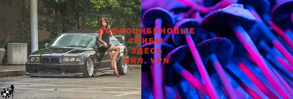 гидра Иннополис