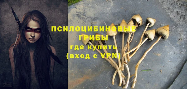 Альфа ПВП Зеленодольск