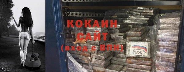 твердый Инсар